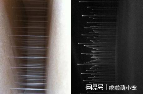 新型装饰材料透光水泥板。你见过没有！开云体育 开云平台(图3)