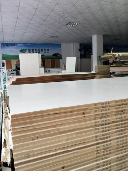 开云体育 开云平台中国板材十大品牌福广源板材位列其中!(图2)